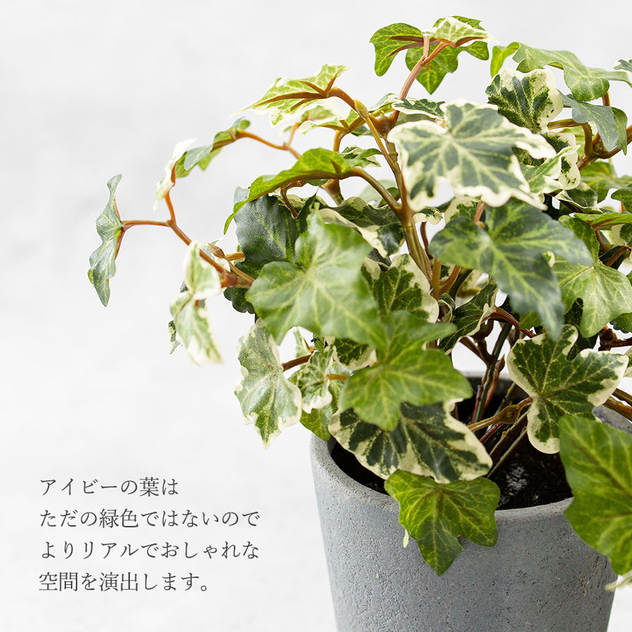 イングリッシュアイビー ポット フェイクグリーン