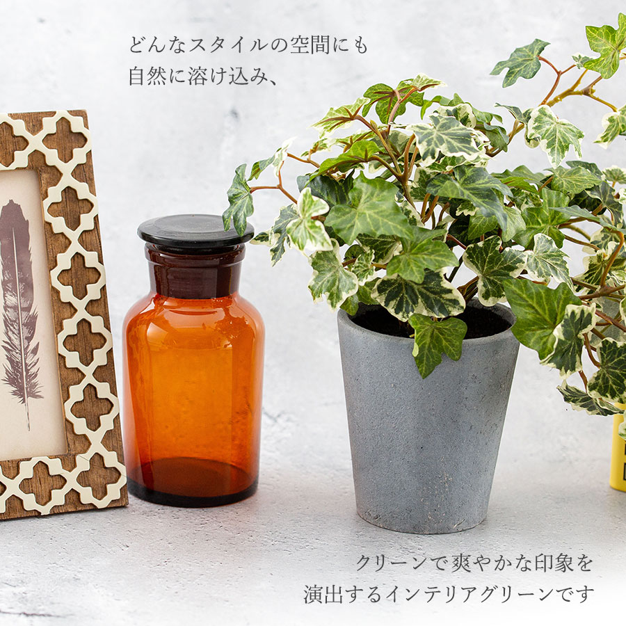 イングリッシュアイビー ポット フェイクグリーン