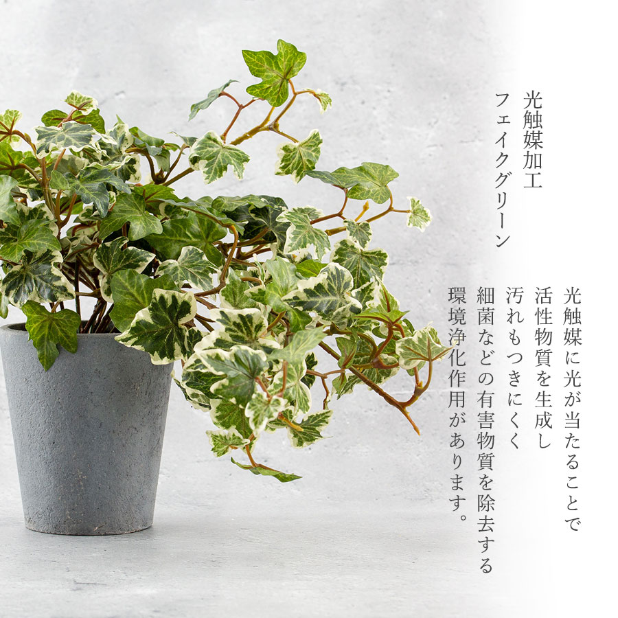 イングリッシュアイビー ポット フェイクグリーン