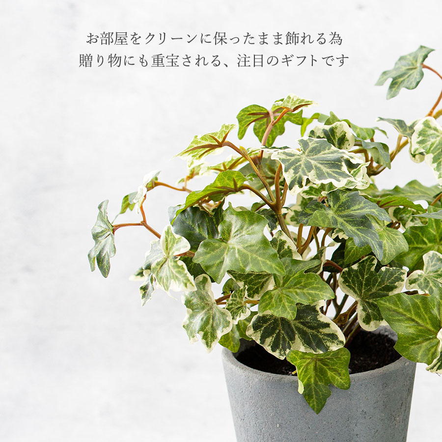 イングリッシュアイビー ポット フェイクグリーン