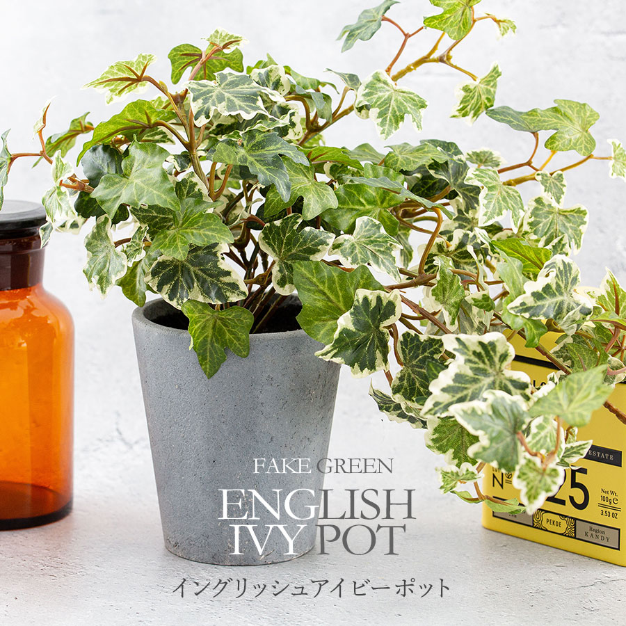 イングリッシュアイビー ポット フェイクグリーン
