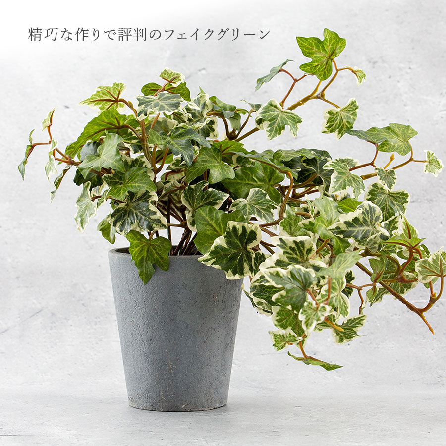 イングリッシュアイビー ポット フェイクグリーン
