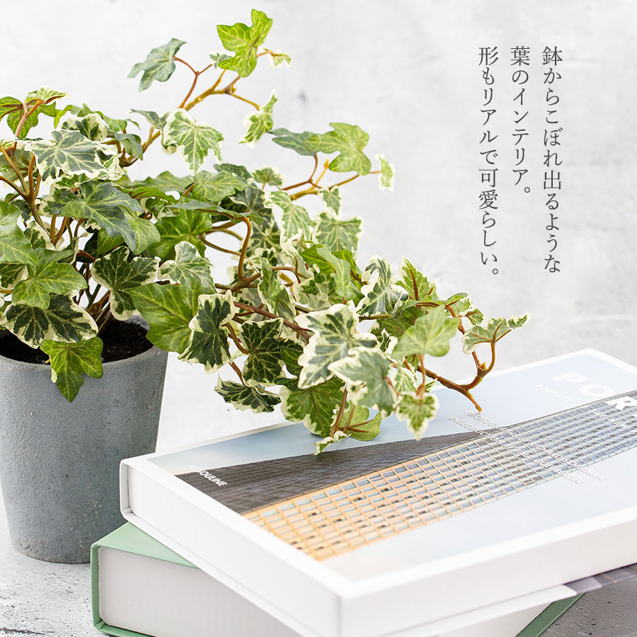 イングリッシュアイビー ポット フェイクグリーン