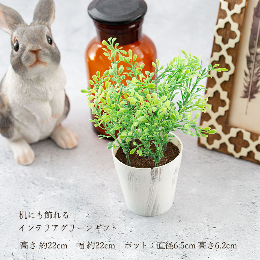 ボックスウッドポット フェイクグリーン