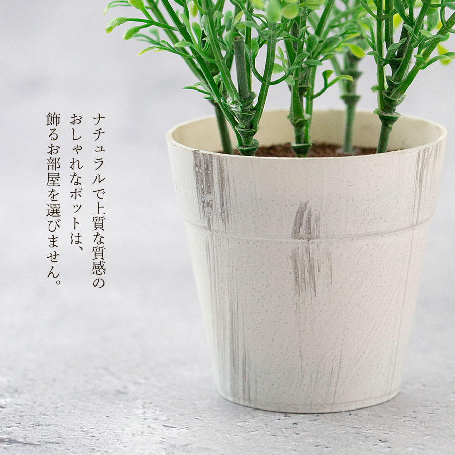 ボックスウッドポット フェイクグリーン