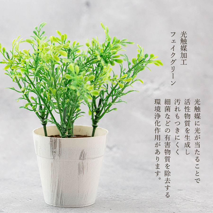 ボックスウッドポット フェイクグリーン