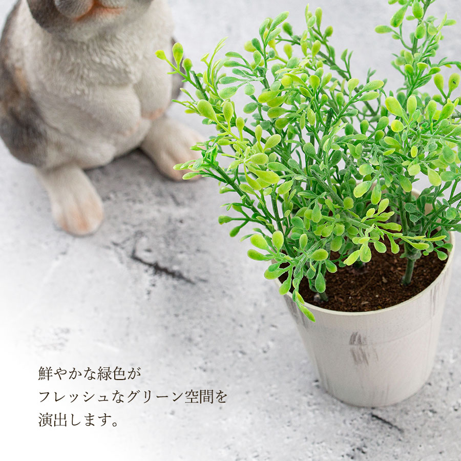 ボックスウッドポット フェイクグリーン