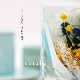ドライフラワーミニブーケ「kotaba」