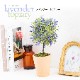 ラベンダー トピアリー フェイクグリーン