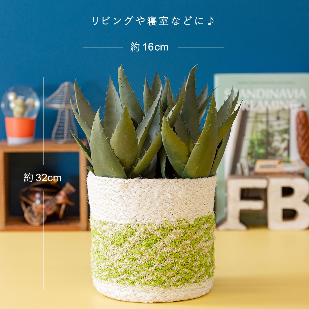 フェイクグリーン アロエポット