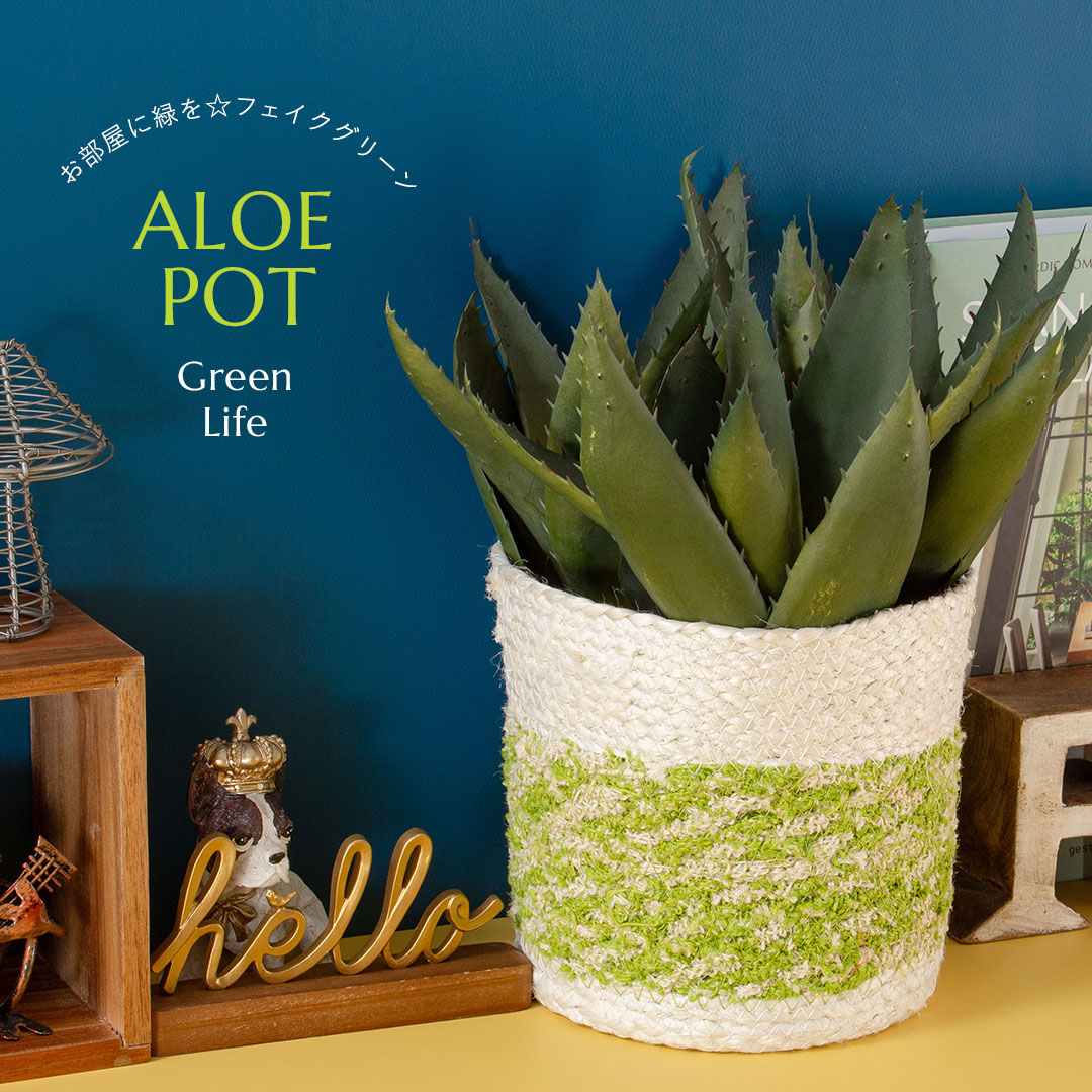 フェイクグリーン アロエポット