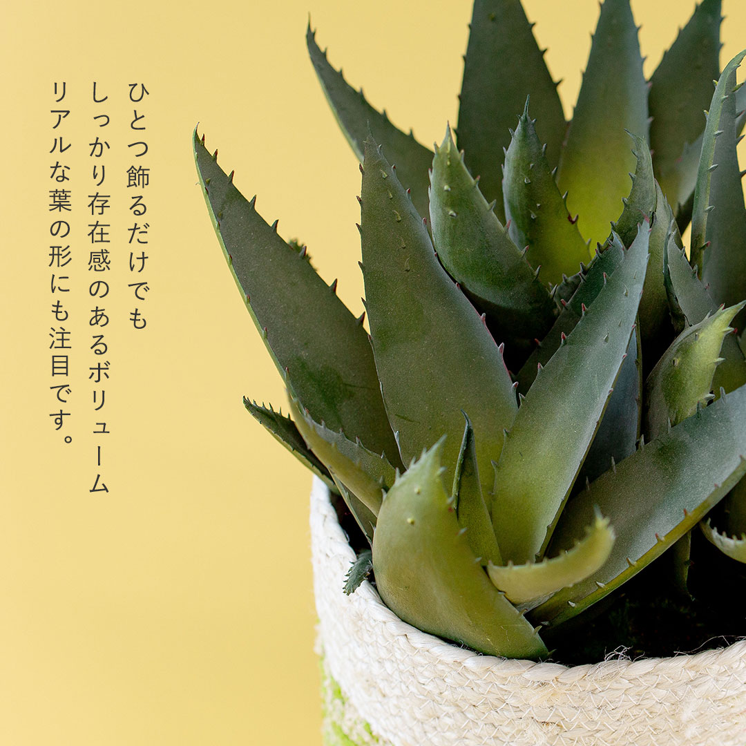 フェイクグリーン アロエポット