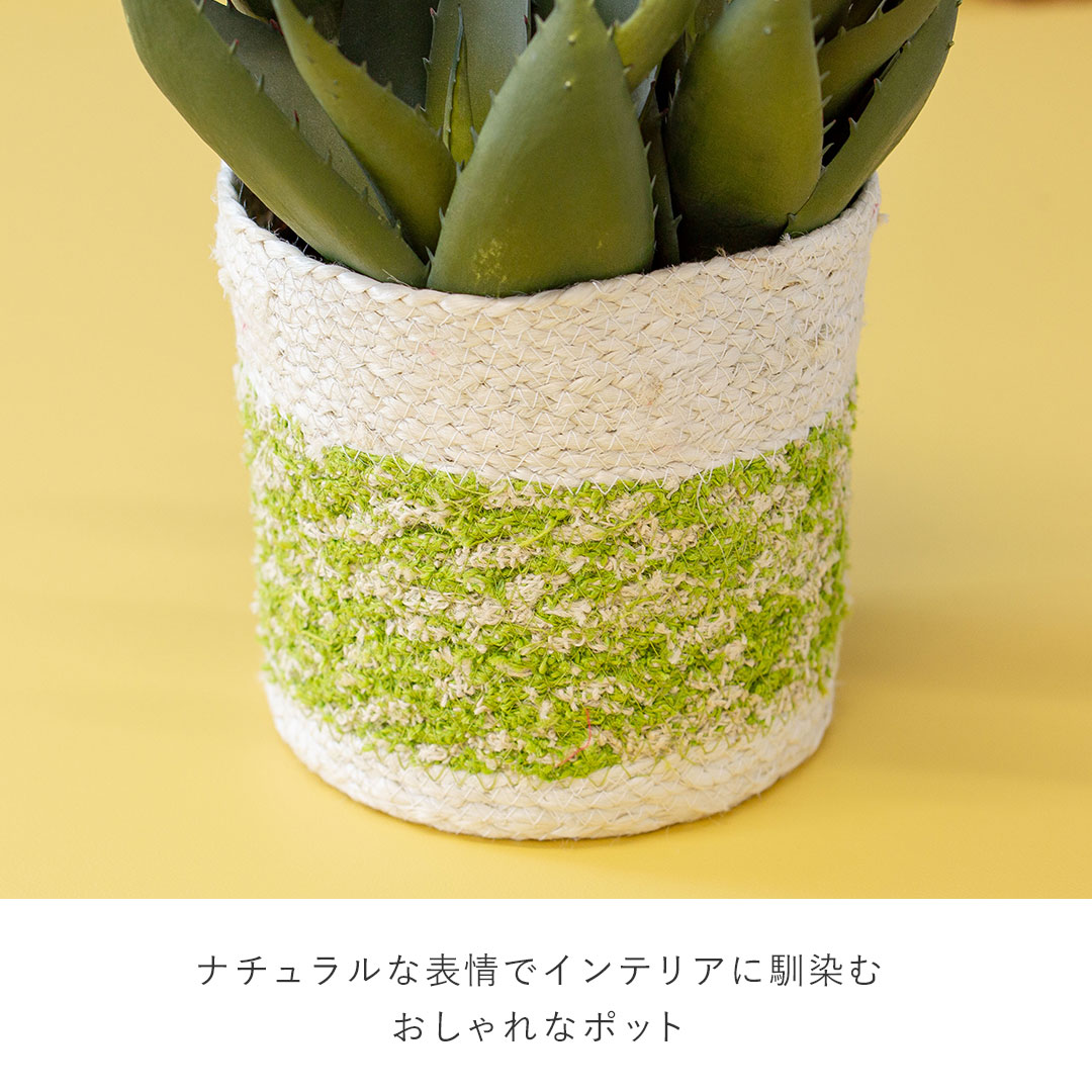 フェイクグリーン アロエポット