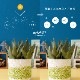 フェイクグリーン アロエポット