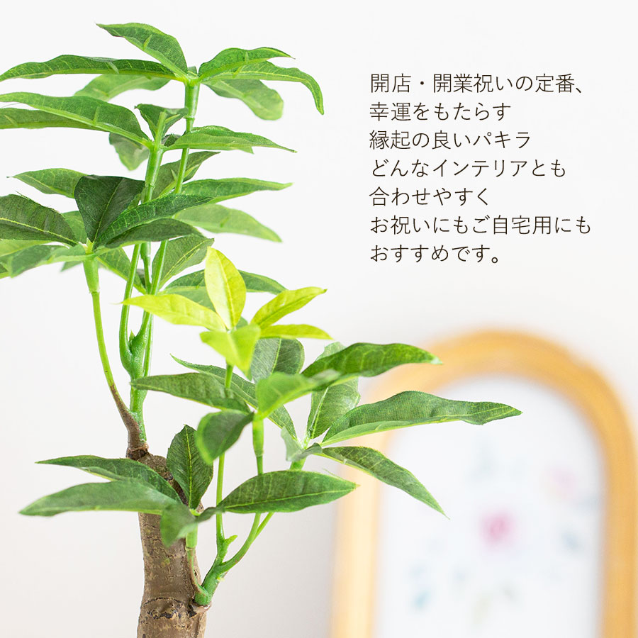 パキラ セメントポット フェイクグリーン