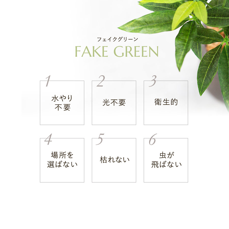 パキラ セメントポット フェイクグリーン