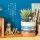 フェイクグリーン 多肉寄せ植えミニアレンジポット