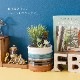 フェイクグリーン 多肉寄せ植えミニアレンジポット