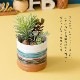 フェイクグリーン 多肉寄せ植えミニアレンジポット