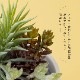 フェイクグリーン 多肉寄せ植えミニアレンジポット
