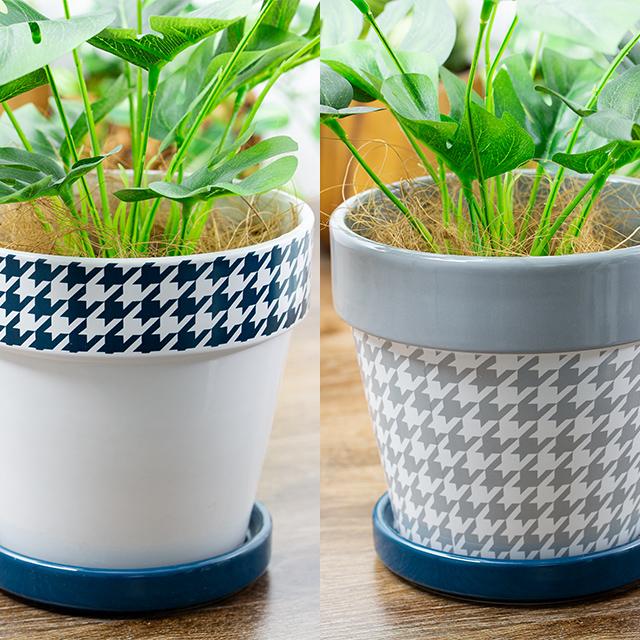 緑の癒し グリーンインテリア モンステラ