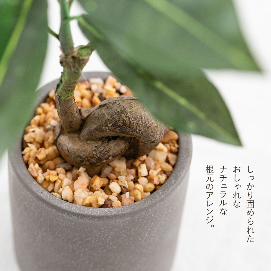 コーヒーの木 フェイクグリーン