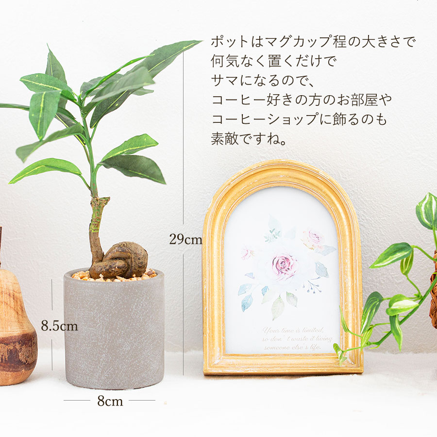 コーヒーの木 フェイクグリーン