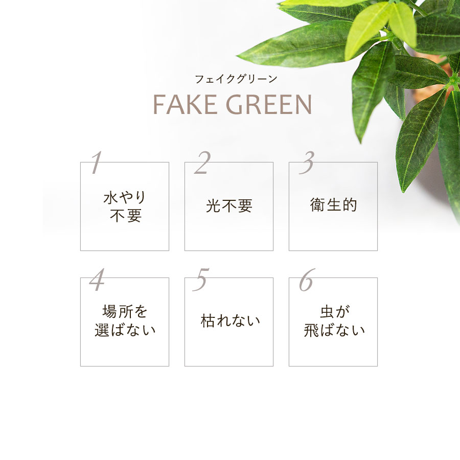 コーヒーの木 フェイクグリーン