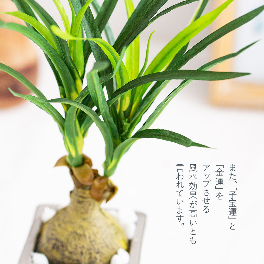 ノリナ ポット フェイクグリーン