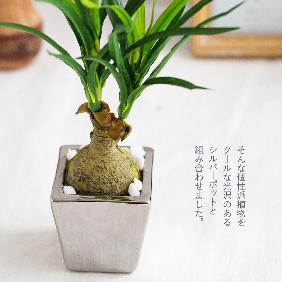 ノリナ ポット フェイクグリーン