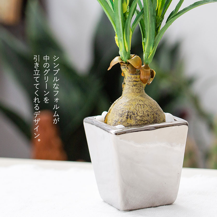 ノリナ ポット フェイクグリーン