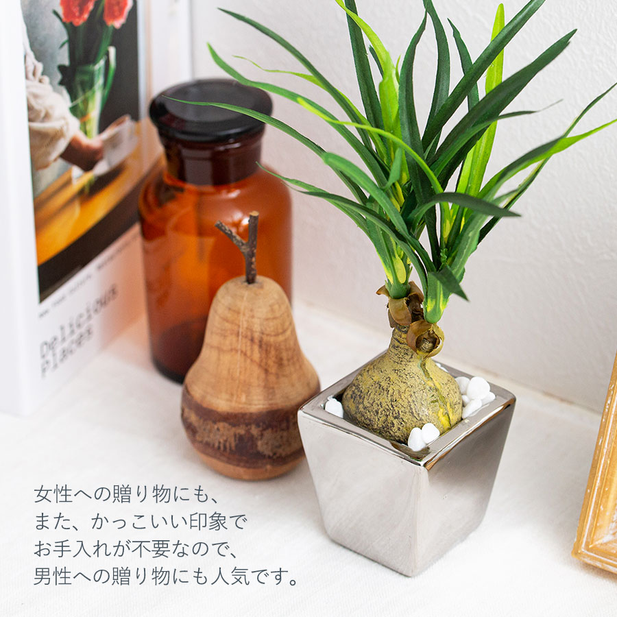 ノリナ ポット フェイクグリーン