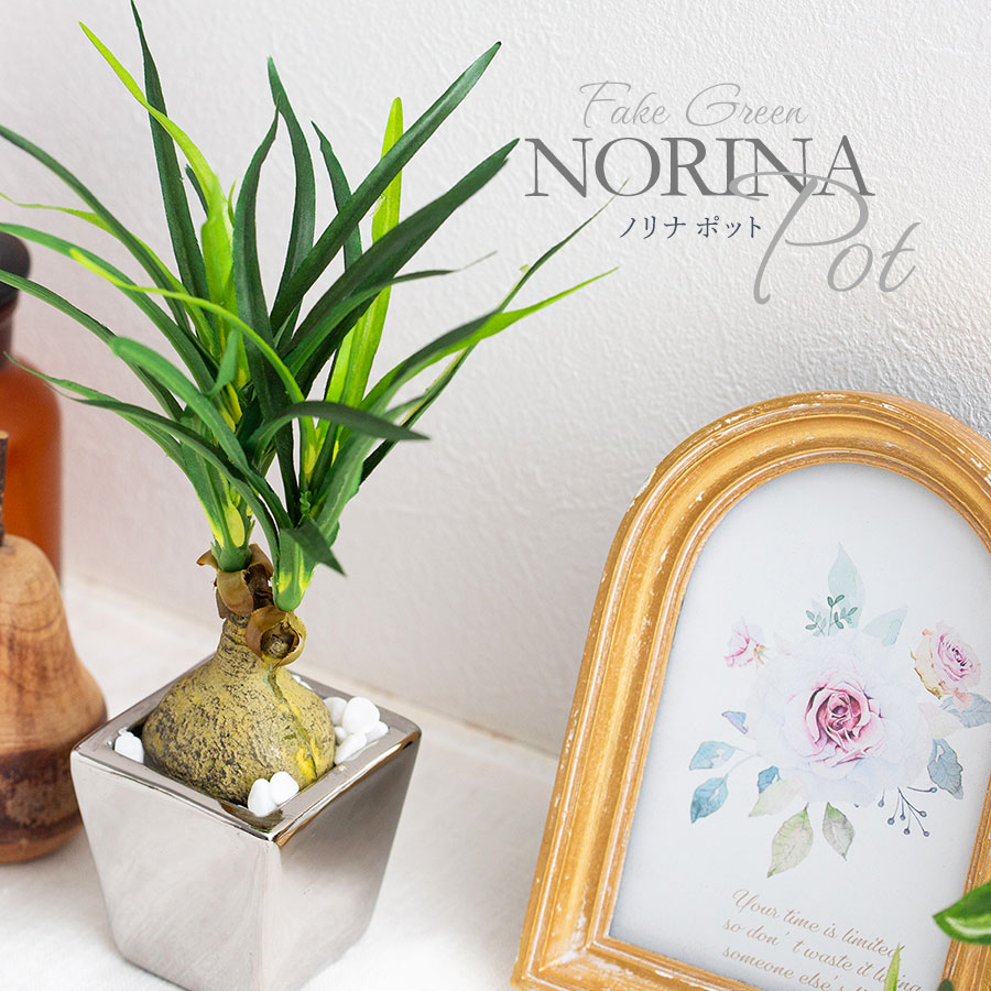 ノリナ ポット フェイクグリーン