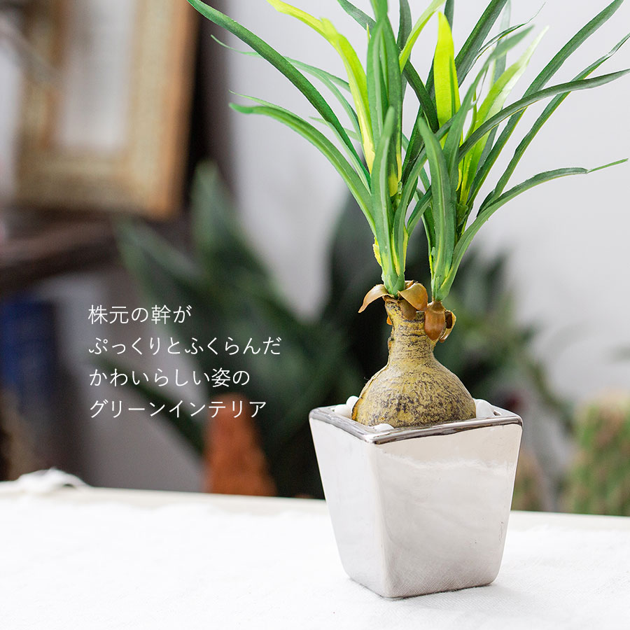 ノリナ ポット フェイクグリーン