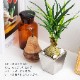 ノリナ ポット フェイクグリーン