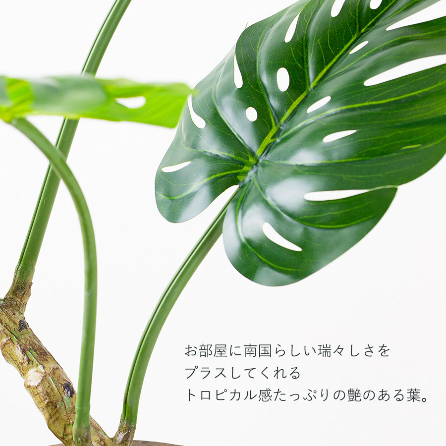 モンステラポット フェイクグリーン
