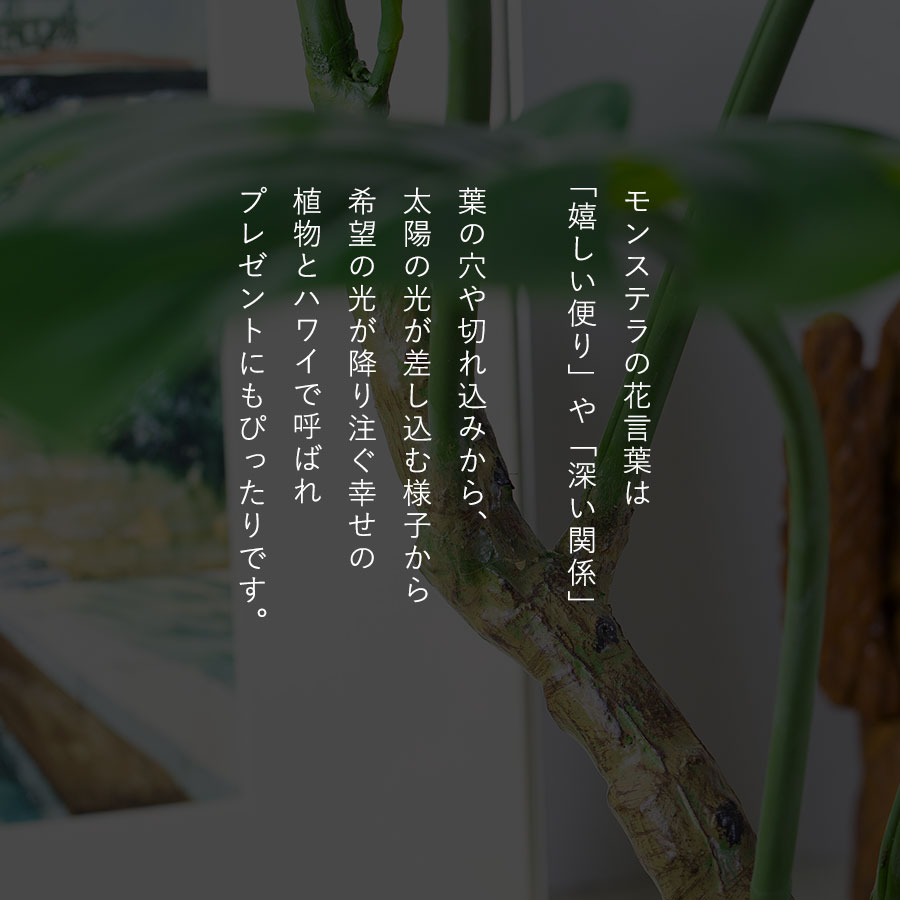 モンステラポット フェイクグリーン