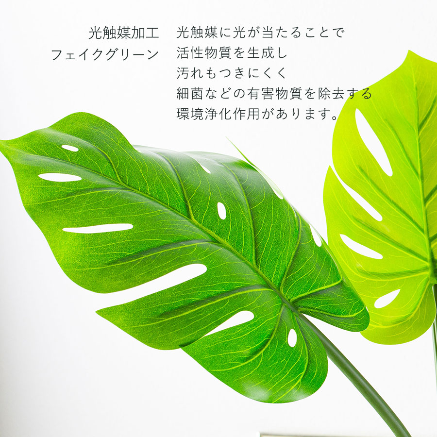 モンステラポット フェイクグリーン