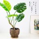 モンステラポット フェイクグリーン