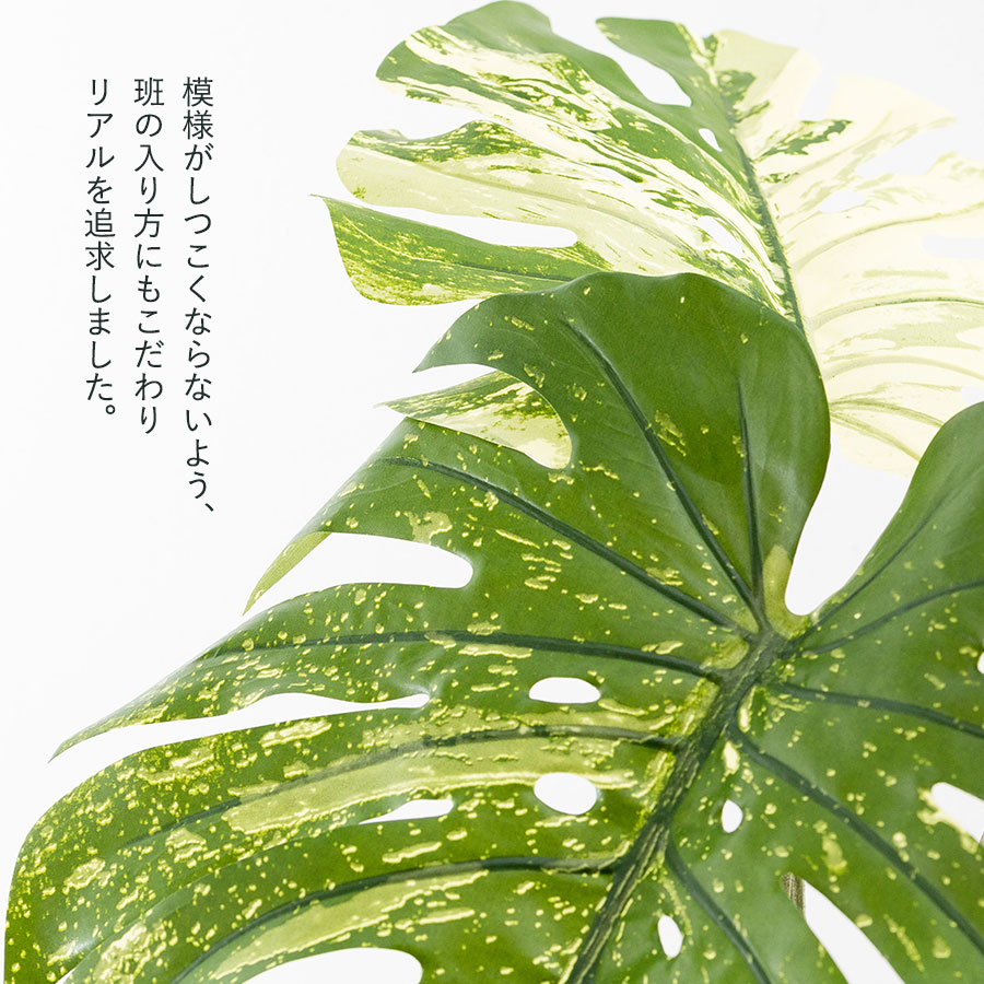 モンステラ バリエガータポット フェイクグリーン