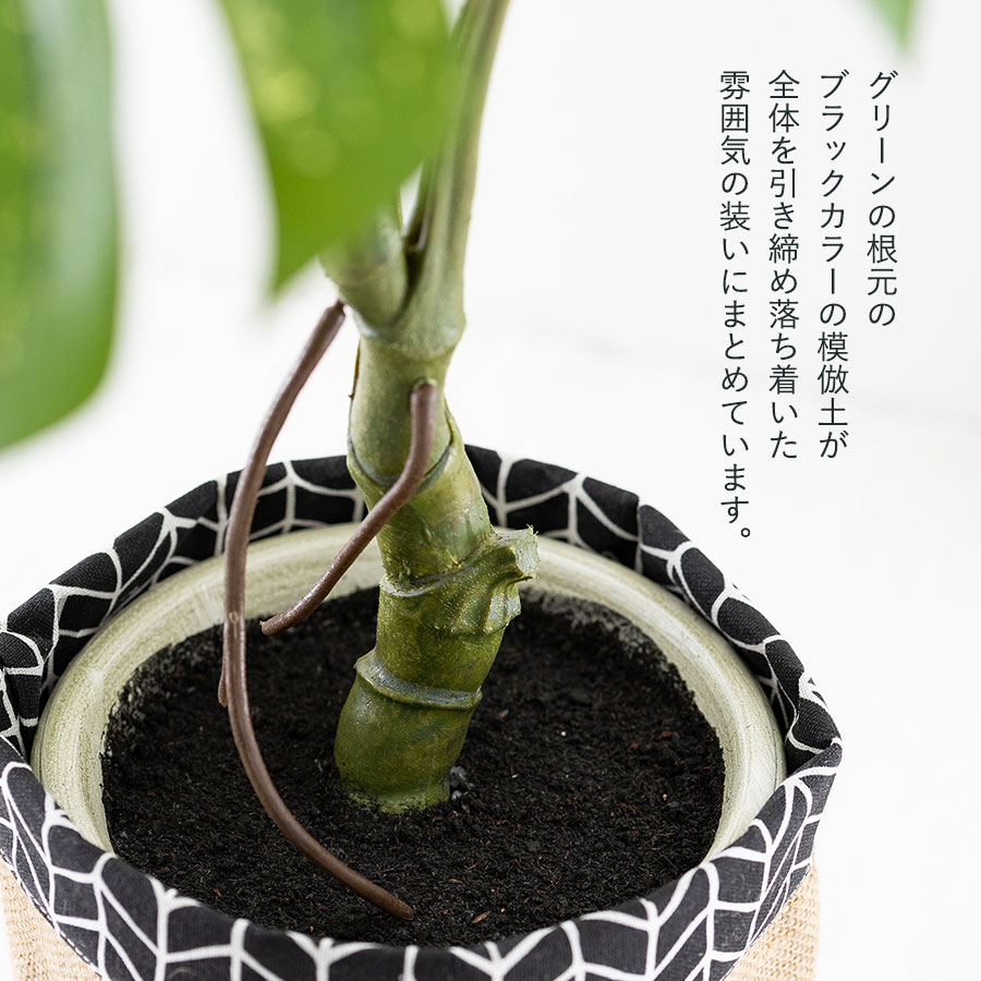 モンステラ バリエガータポット フェイクグリーン