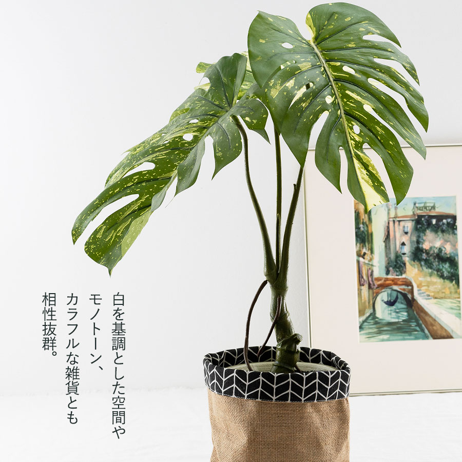 モンステラ バリエガータポット フェイクグリーン