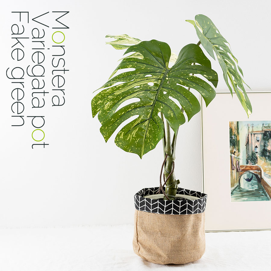 モンステラ バリエガータポット フェイクグリーン