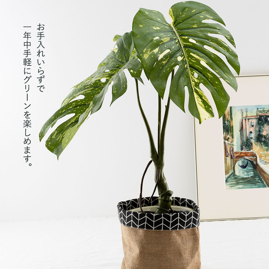 モンステラ バリエガータポット フェイクグリーン