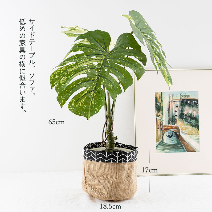 モンステラ バリエガータポット フェイクグリーン