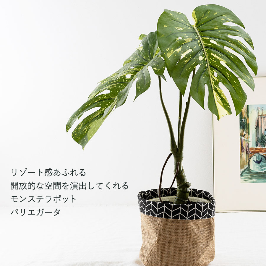 モンステラ バリエガータポット フェイクグリーン