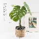 モンステラ バリエガータポット フェイクグリーン