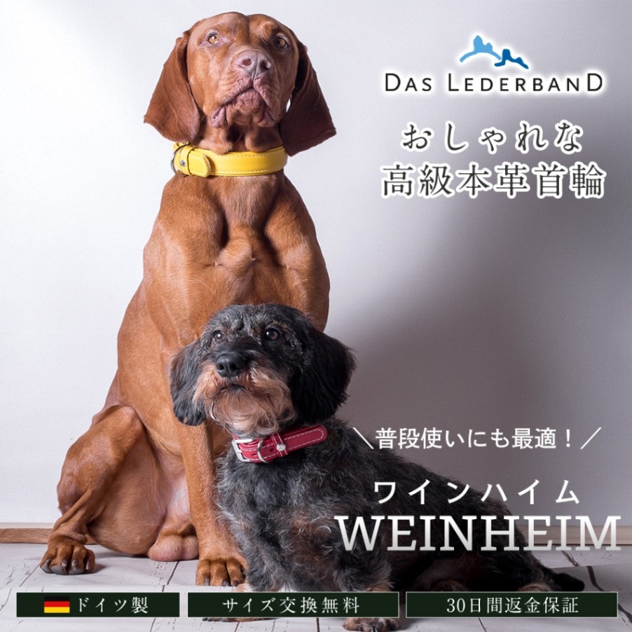 【ドイツ製 高級本革首輪】 Das Lederband レダーバンド 「WEINHEIM（ワインハイム）」