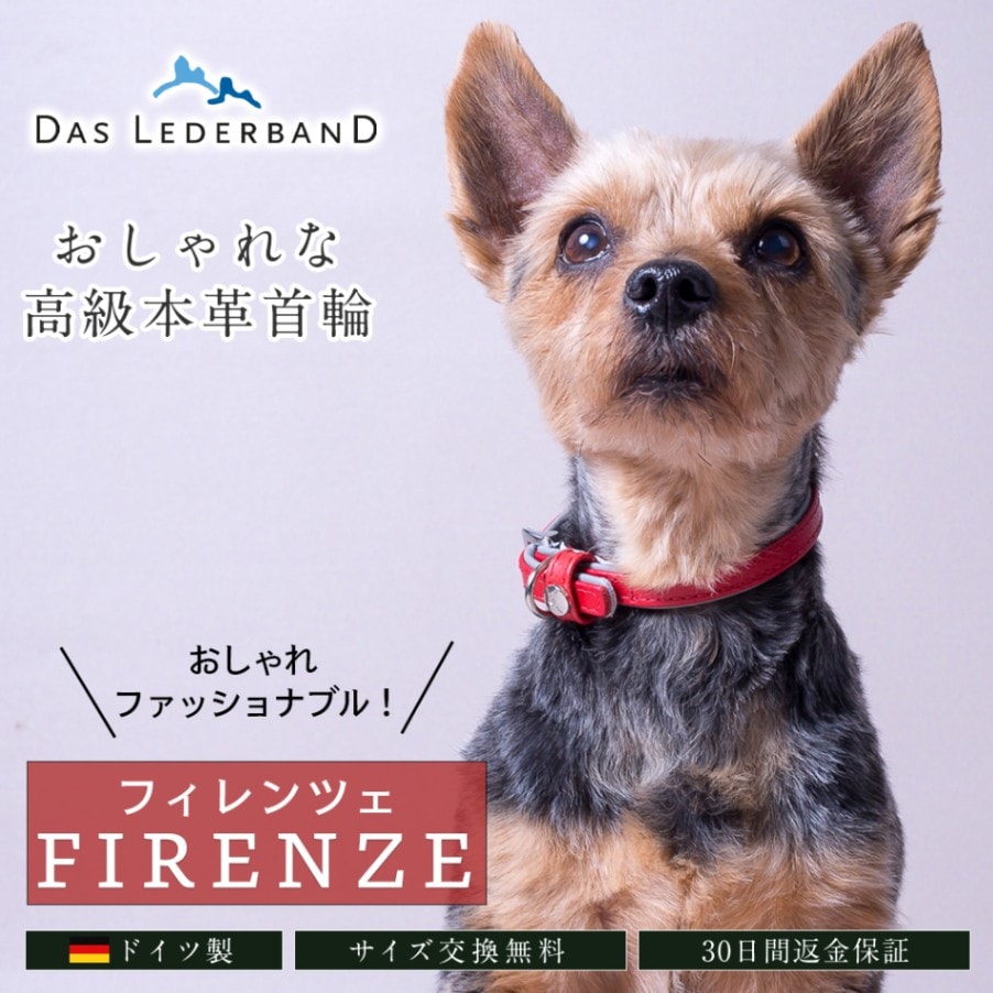 ドイツ製 高級本革 首輪 Das Lederband レダーバンド 「Firenze（フィレンツェ）」