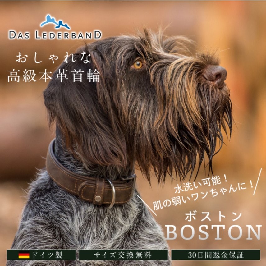 【水洗い可能！ドイツ製 高級本革首輪】 Das Lederband レダーバンド 「BOSTON（ボストン）」